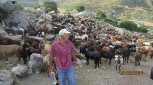 Antonio with goats.